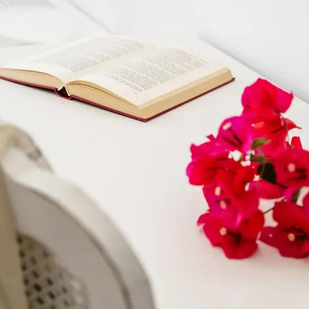 Kastro Boutique דירה Naxos City